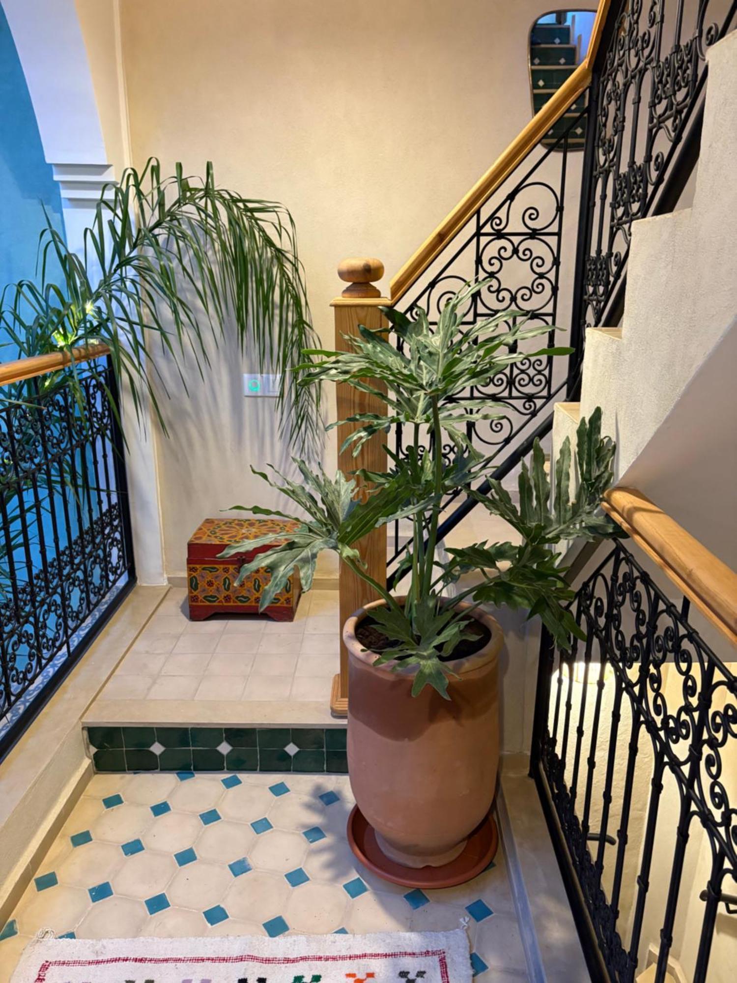 Riad212 Private Medina Fast Wi-Fi Plunge Pool Marrakesh Eksteriør billede